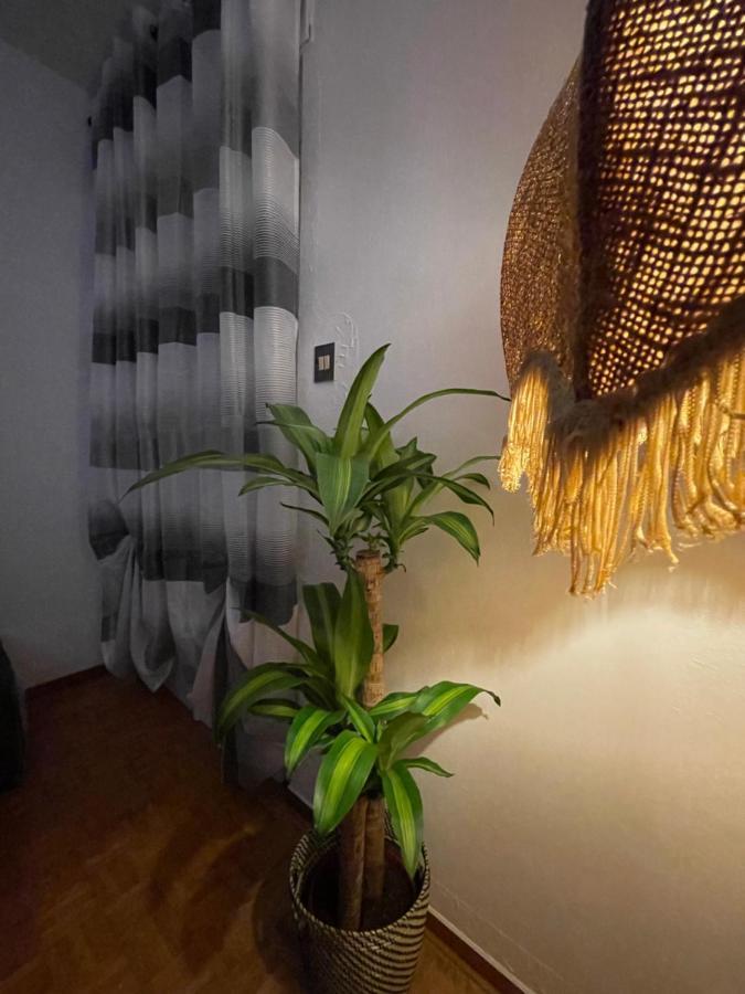 Sunway Apartment Τεργέστη Εξωτερικό φωτογραφία